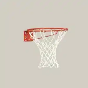 DGS Sports - Bison Economy Basketball Goal