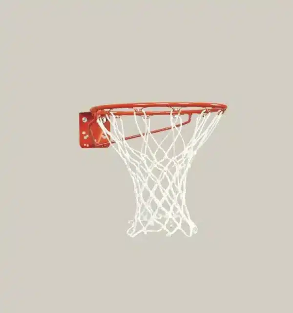 DGS Sports - Bison Economy Basketball Goal