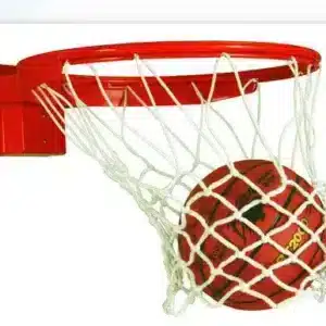 DGS Sports - Bison Baseline 180 Breakaway Basketball Goal