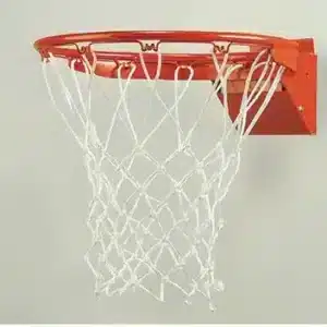DGS Sports - Bison Protech Breakaway Basketball Goal