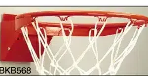 DGS Sports - Heavy Duty Flex Basketball Goal