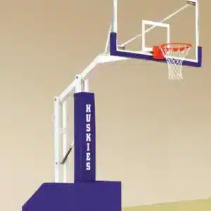 DGS Sports - Bison T-Rex Club Portable Basketball System