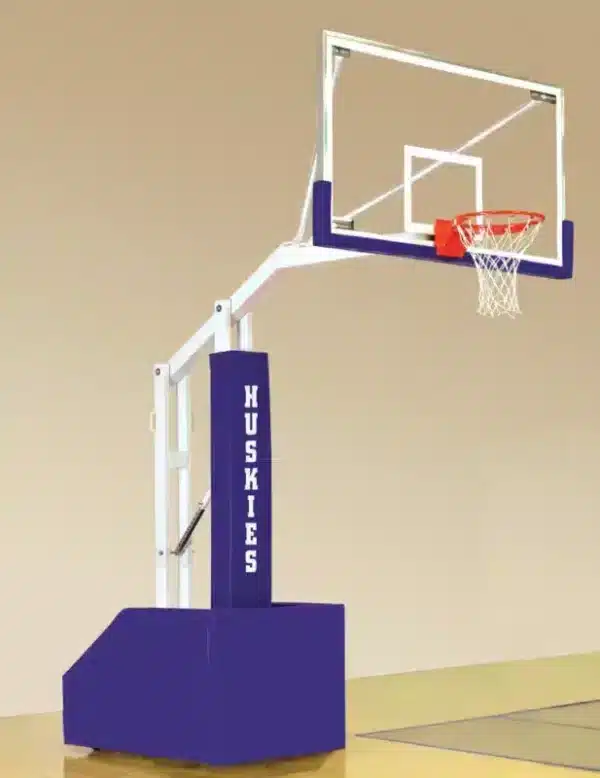 DGS Sports - Bison T-Rex Club Portable Basketball System