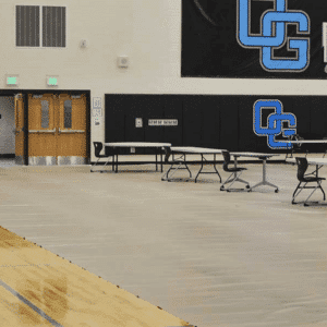 DGS Sports- Gym Floor Covering